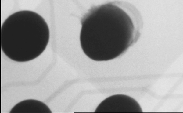 米兰·(milan)X光机